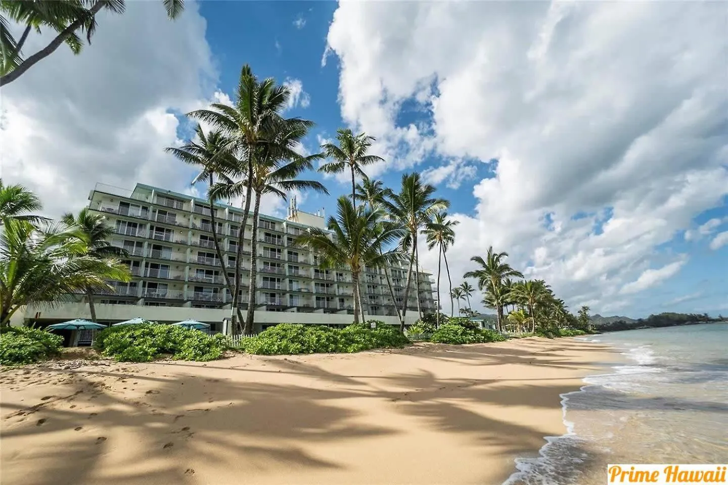 Magical Beachfront Condo Hau'ula Σπίτι διακοπών
